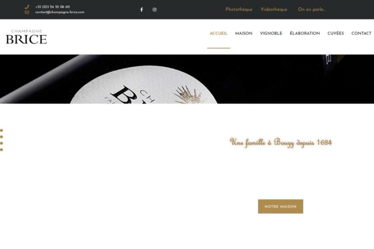Page d'accueil du site Champagne Brice réalisé par l'Agence Arbane