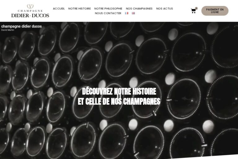 Page d'accueil du site Champagne Didier Ducos réalisé par l'Agence Arbane