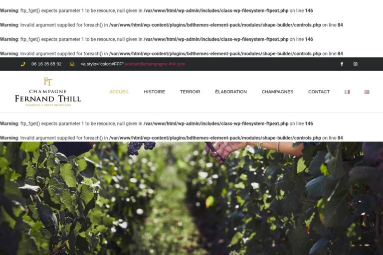 Page d'accueil du site Champagne Fernand Thill réalisé par l'Agence Arbane
