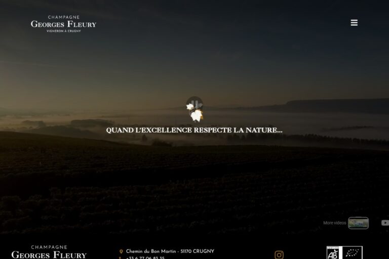 Page d'accueil du site Champagne Georges Fleury réalisé par l'Agence Arbane