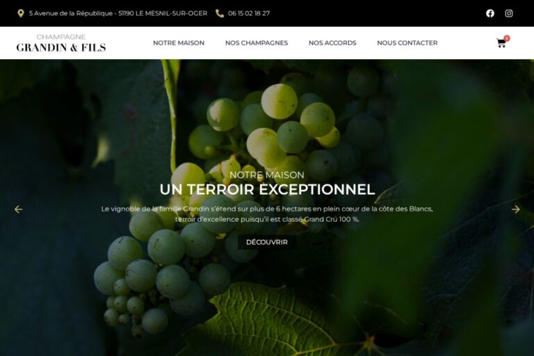 Page d'accueil du site internet Champagne Grandin & Fils réalisé par l'Agence Arbane