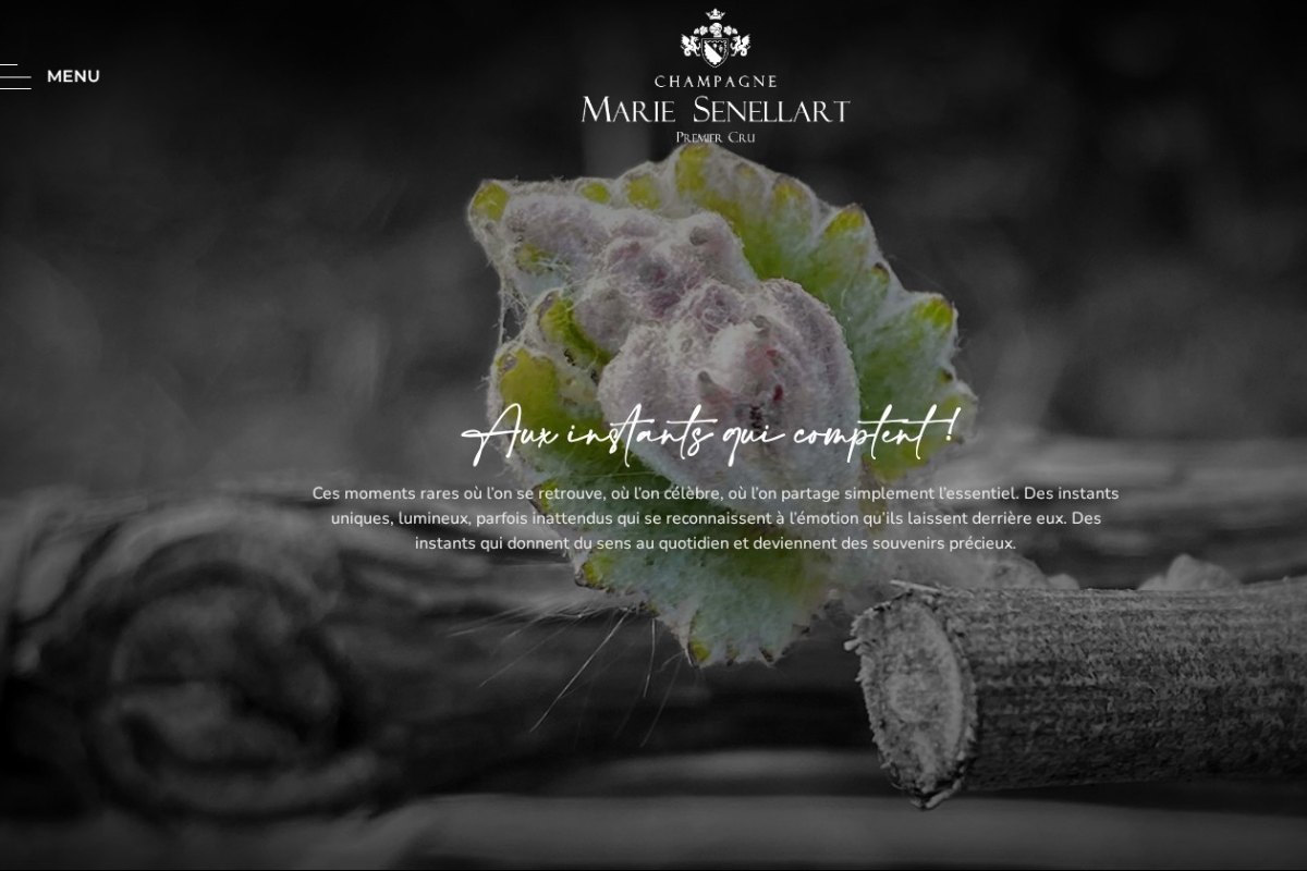 Boutique en ligne du Champagne Marie Senellart réalisée par l’Agence Arbane